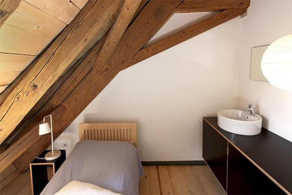 Alte Scheune Apartment Schopfheim