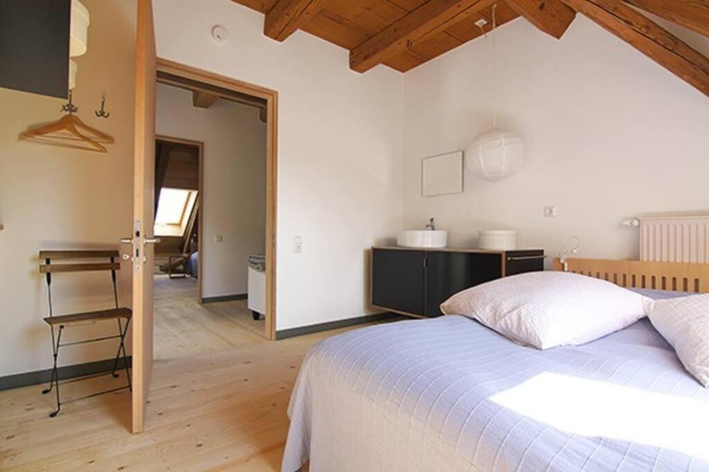 Alte Scheune Apartment Schopfheim