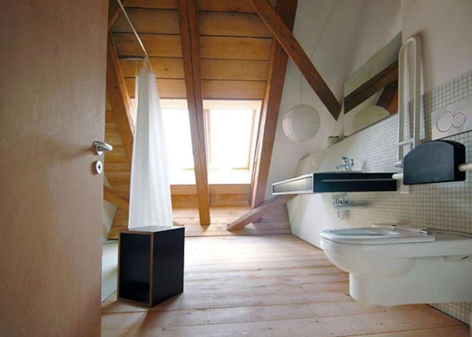 Alte Scheune Apartment Schopfheim